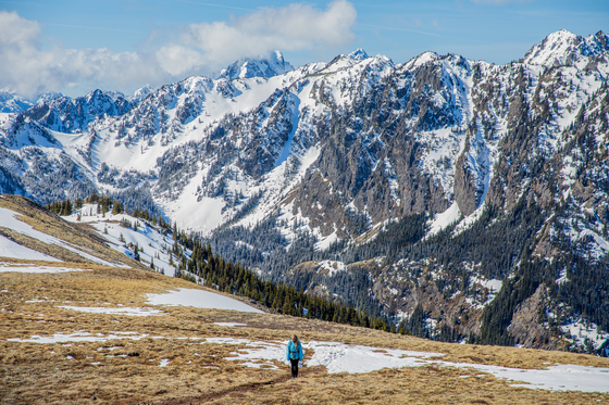 Olympic National Forest 