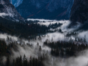 Yosemite National Park