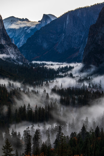 Yosemite National Park