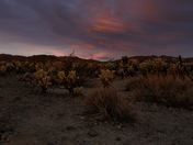 Joshua Tree National Park