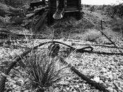 Joshua Tree National Park