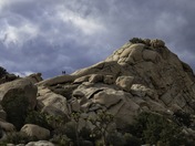 Joshua Tree National Park