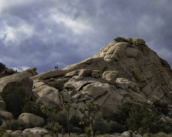 Joshua Tree National Park