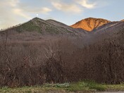 Great Smoky Mountains