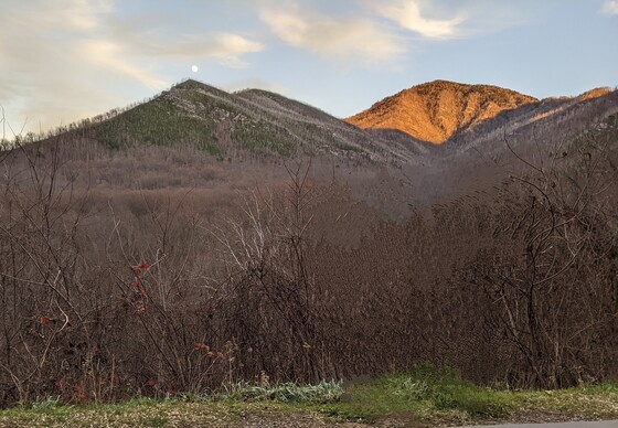 Great Smoky Mountains