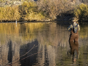 Tonto National Forest