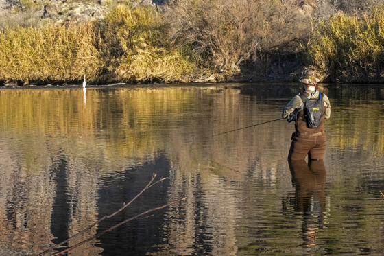 Tonto National Forest