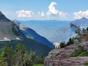 Glacier National Park