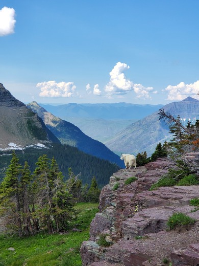 Glacier National Park