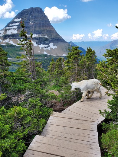 Glacier National Park