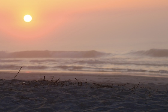 Chincoteague National Wildlife Refuge