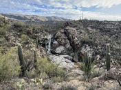 Saguaro National Park 