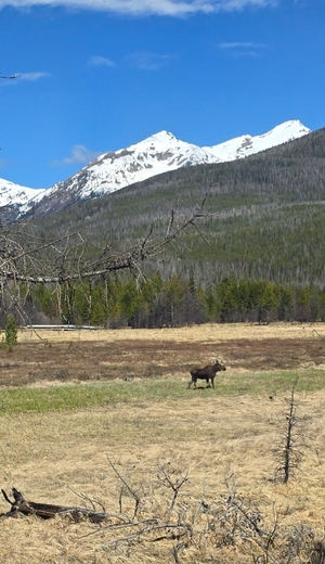 Rocky Mountain NPS