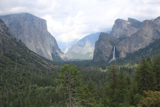 Yosemite National Park 