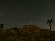 Joshua Tree National Park
