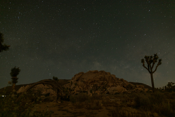 Joshua Tree National Park