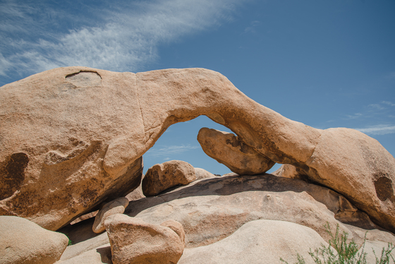 Joshua Tree National Park