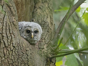 I Just Need A Little Rest