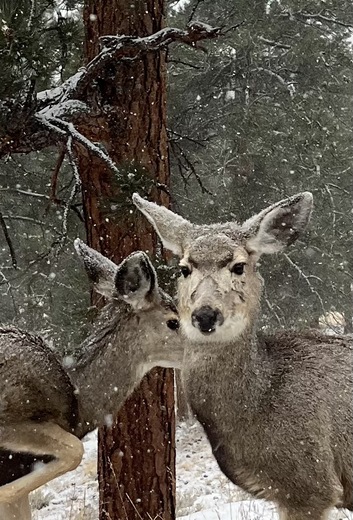 Rocky Mountain National Park