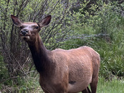 Rocky Mountain National Park