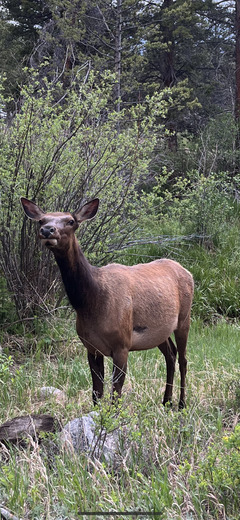 Rocky Mountain National Park