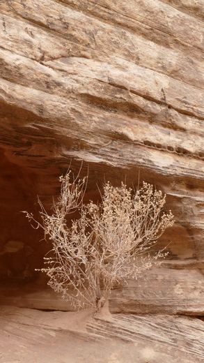 Capitol Reef National Park 
