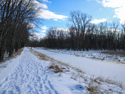 Shiawassee National Wildlife Refuge