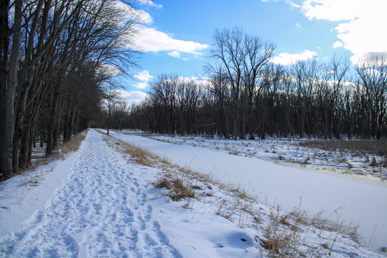 Shiawassee National Wildlife Refuge