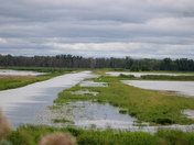 Shiawassee National Wildlife Refuge