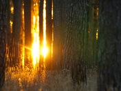 Pee Dee National Wildlife Refuge