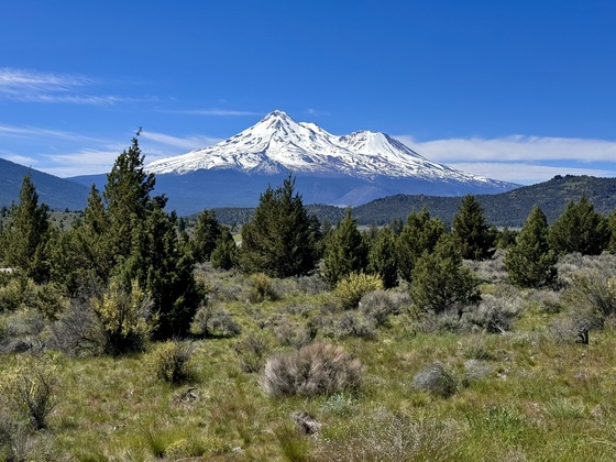 Klamath National Forest