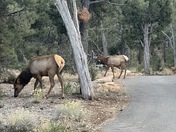 Grand Canyon National Park