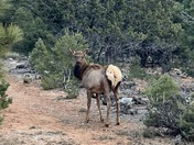 Grand Canyon National Park