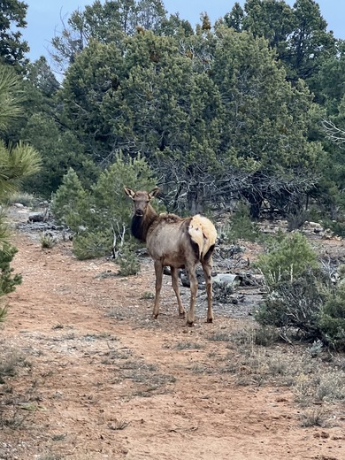 Grand Canyon National Park