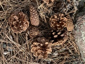 Rocky Mountain National Park