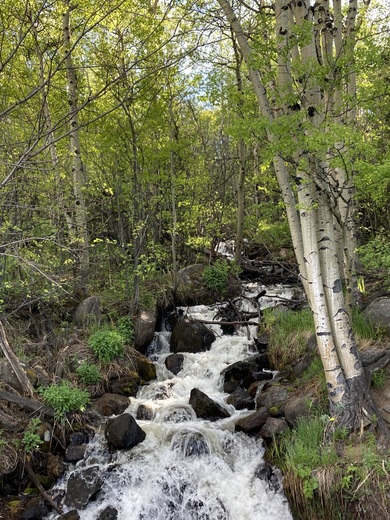 Rocky Mountain National Park