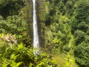 Akaka Falls State Park - Kona Hawaii 