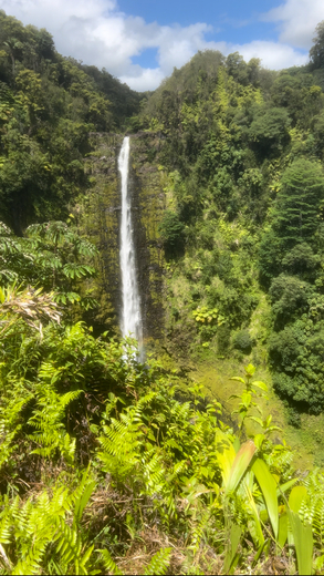 Akaka Falls State Park - Kona Hawaii 