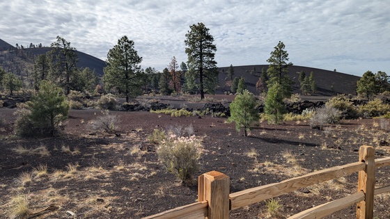 Sunset Crater National Monument 