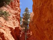 Bryce Canyon National Park 