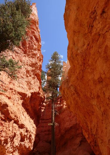 Bryce Canyon National Park 