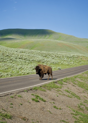 Yellowstone National Park