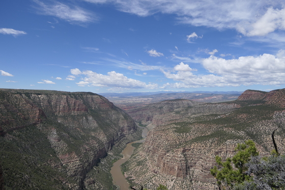Dinosaur National Monument 