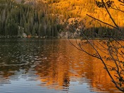 RMNP
