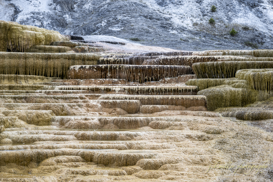 Yellowstone National Park