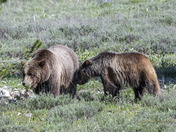Teton National Park