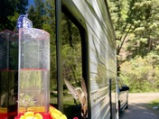 Mavreeso Campground