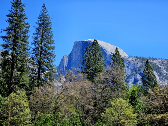 Yosemite National Park
