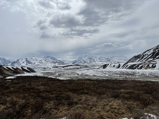 Denali National Park and Preserve
