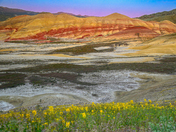 John Day Fossil Beds National Monument - Painted Hills Unit